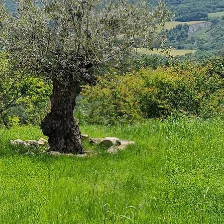 Apartment Podere Colombaio - Verbena *
