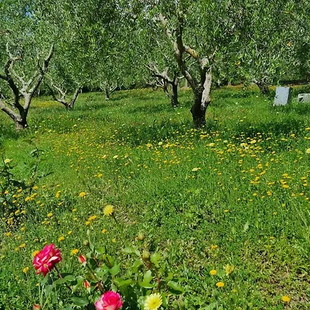 Podere Colombaio - Verbena Radicofani