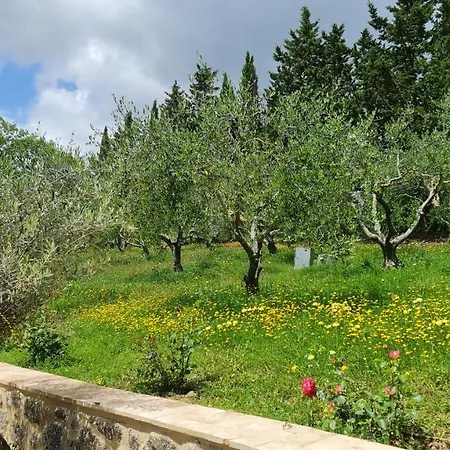 Podere Colombaio - Verbena *