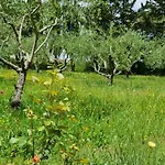 Apartment Podere Colombaio - Verbena *