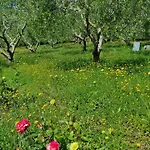 Podere Colombaio - Verbena Radicofani