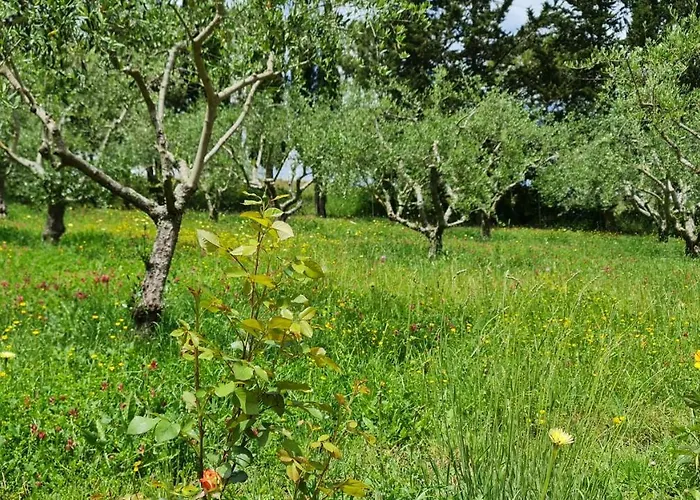 Διαμέρισμα Podere Colombaio - Verbena *