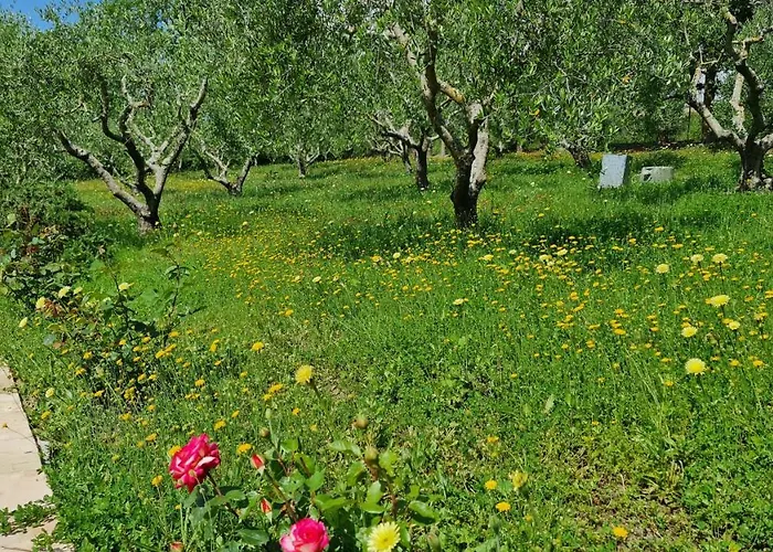 Podere Colombaio - Verbena Radicofani