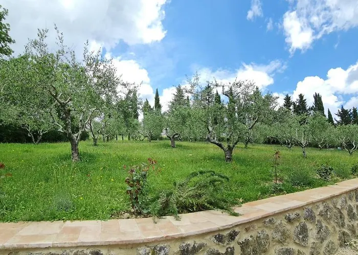 Podere Colombaio - Verbena *