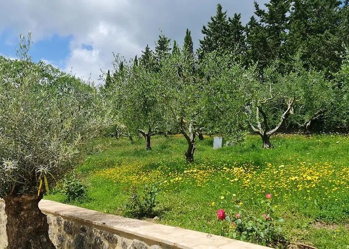Podere Colombaio - Verbena *